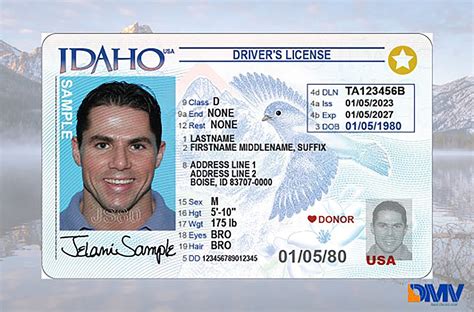 idaho numbers|find my id number.